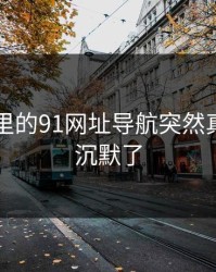 91爆料里的91网址导航突然真把人看沉默了