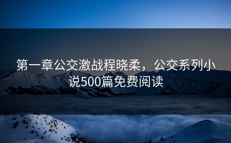 第一章公交激战程晓柔,公交系列小说500篇免费阅读 第一章公交激战程晓柔,公交系列小说500篇免费阅读