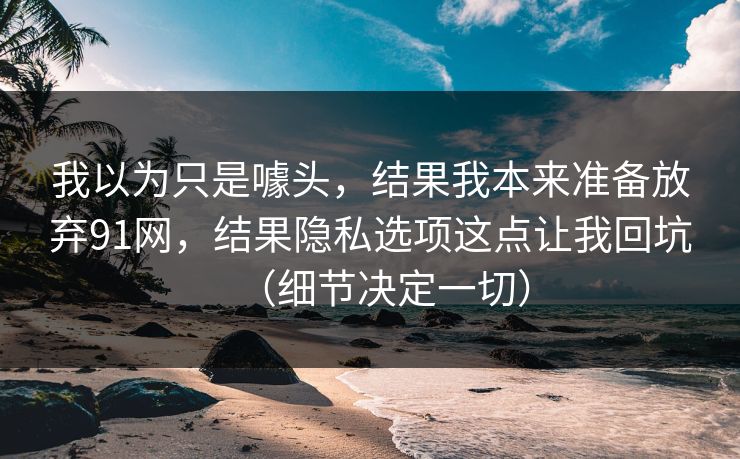我以为只是噱头，结果我本来准备放弃91网，结果隐私选项这点让我回坑（细节决定一切）