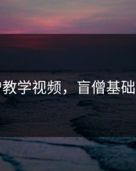 盲僧教学视频，盲僧基础教学