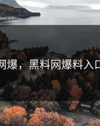 黑料网爆，黑料网爆料入口进入