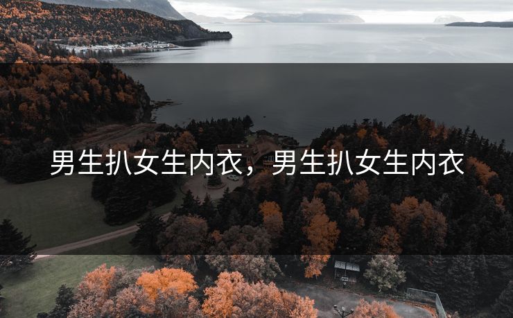 男生扒女生内衣，男生扒女生内衣